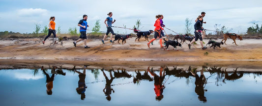 Unleashing the Joy of Canicross: Running with Your Dog - BPRunning
