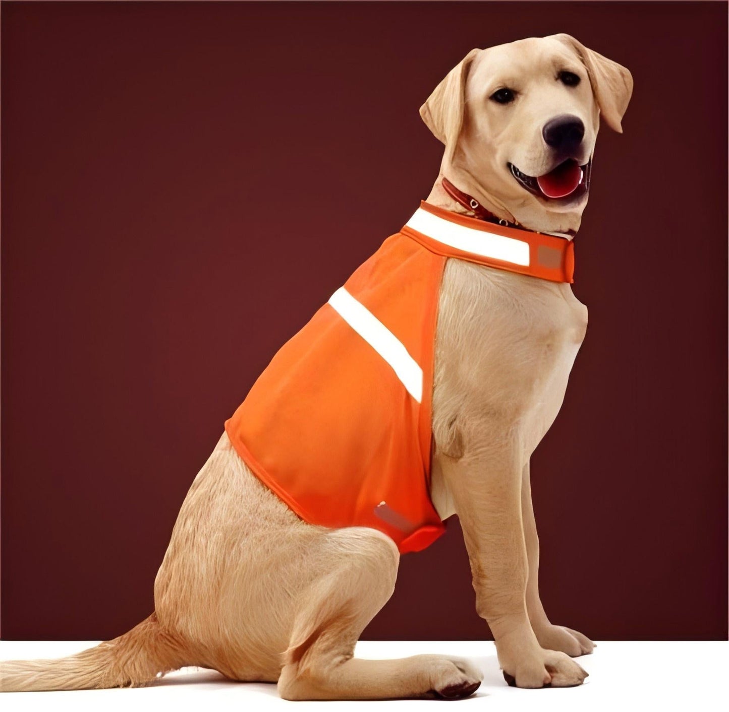 (2 Pack) High Visibility Reflective Dog Vest for Small to Large Dogs - BPRunning