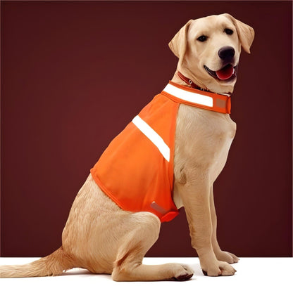 (2 Pack) High Visibility Reflective Dog Vest for Small to Large Dogs - BPRunning