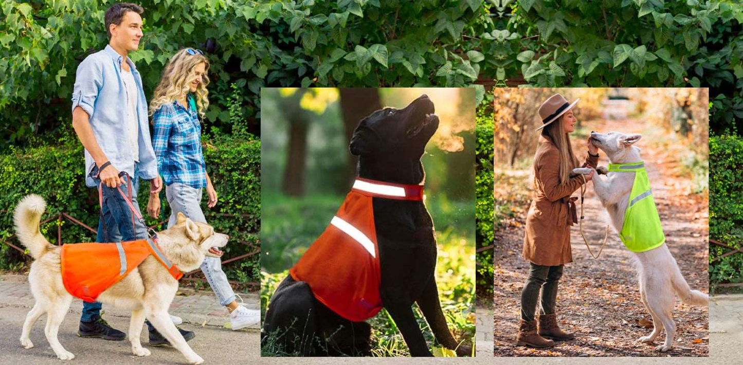 (2 Pack) High Visibility Reflective Dog Vest for Small to Large Dogs - BPRunning