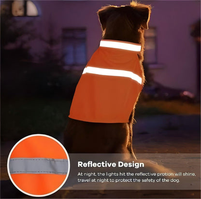 (2 Pack) High Visibility Reflective Dog Vest for Small to Large Dogs - BPRunning