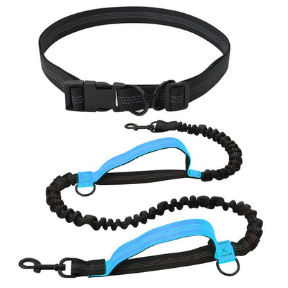 Hands-Free Dog Leash - Adjustable Bungee Waist Leash with Reflective Stitching - BPRunning