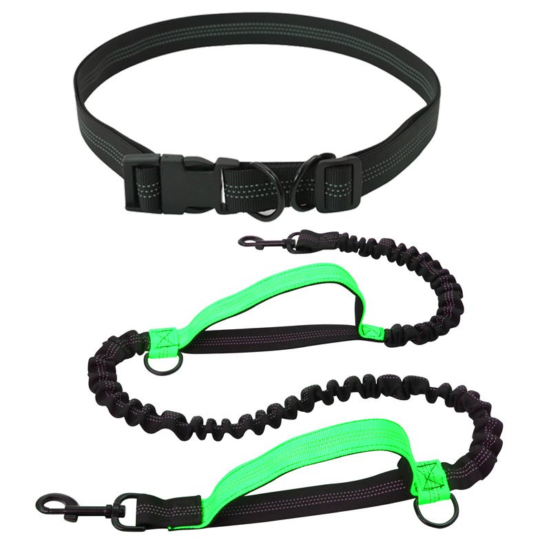 Hands-Free Dog Leash - Adjustable Bungee Waist Leash with Reflective Stitching - BPRunning