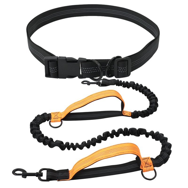 Hands-Free Dog Leash - Adjustable Bungee Waist Leash with Reflective Stitching - BPRunning